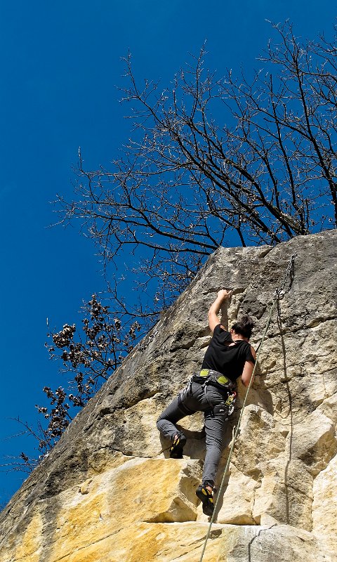 2015-03-08_14-18-57_Saint_Maximin.jpg - Sortie a St Maximin