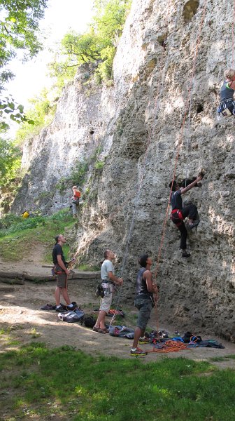 2014-09-28_11-02-32_Falloise.jpg -                                