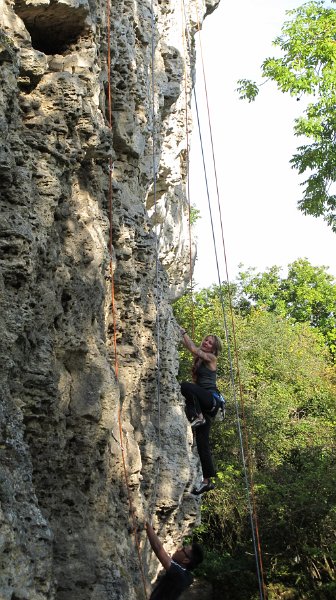 2014-09-28_11-03-45_Falloise.jpg -                                