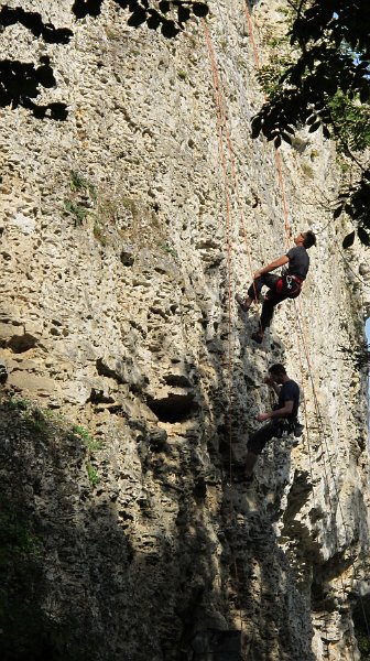 2014-09-28_11-11-01_Falloise.jpg -                                