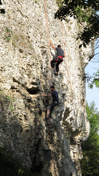 2014-09-28_11-11-05_Falloise.jpg -                                