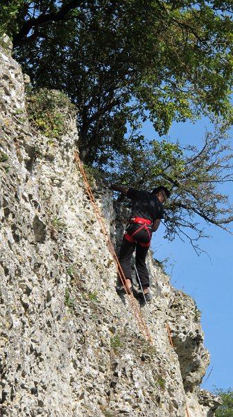 2014-09-28_11-12-41_Falloise.jpg -                                