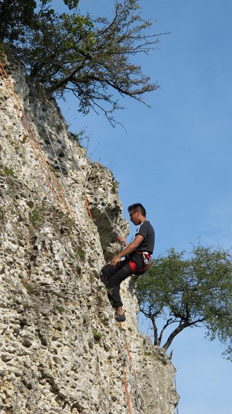 2014-09-28_11-12-56_Falloise.jpg -                                