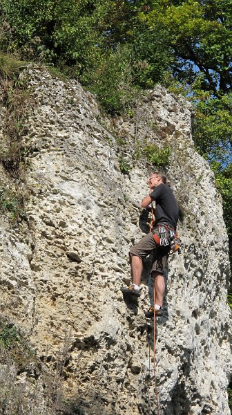 2014-09-28_11-26-49_Falloise.jpg -                                