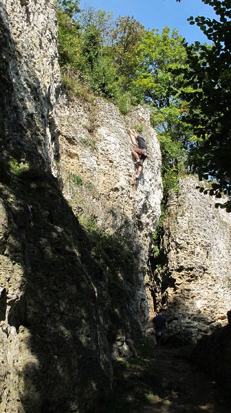 2014-09-28_11-26-59_Falloise.jpg -                                