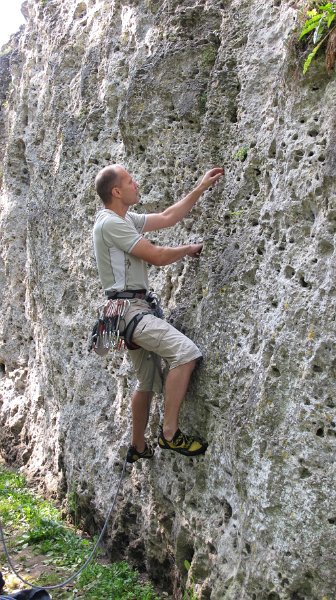 2014-09-28_11-27-50_Falloise.jpg -                                