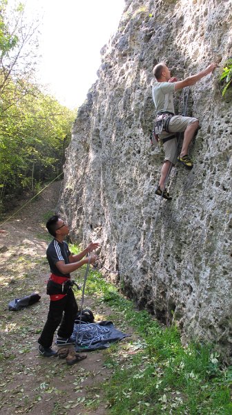 2014-09-28_11-28-16_Falloise.jpg -                                