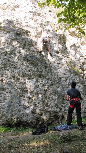 2014-09-28_11-29-04_Falloise.jpg -                                