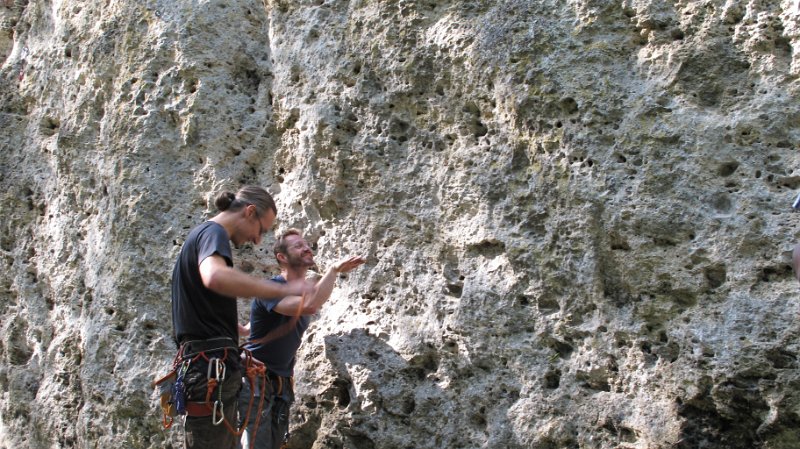 2014-09-28_11-52-05_Falloise.jpg -                                