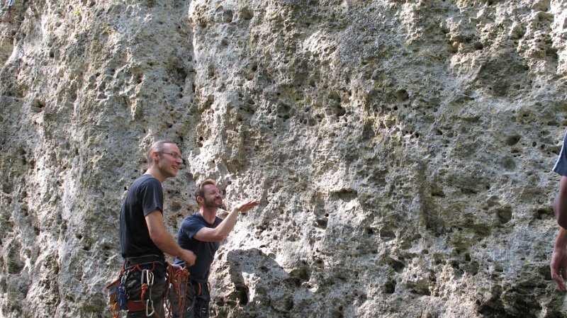 2014-09-28_11-52-07_Falloise.jpg -                                