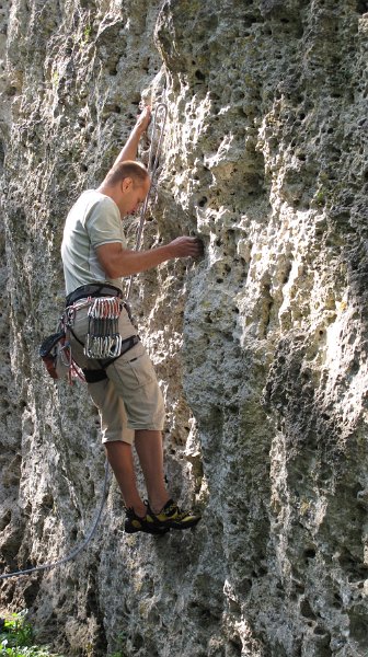 2014-09-28_11-53-08_Falloise.jpg -                                