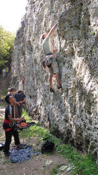 2014-09-28_11-53-18_Falloise.jpg -                                