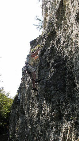 2014-09-28_11-55-55_Falloise.jpg -                                