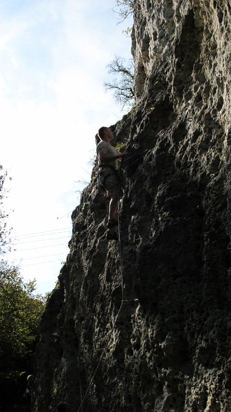 2014-09-28_11-56-00_Falloise.jpg -                                