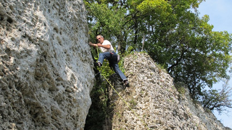 2014-09-28_12-37-03_Falloise.jpg -                                