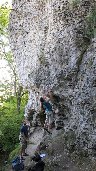 2014-09-28_15-31-22_Falloise.jpg -                                