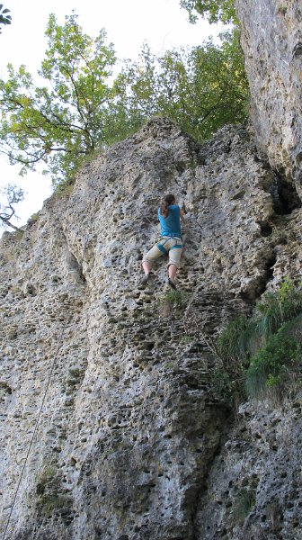 2014-09-28_15-33-56_Falloise.jpg -                                