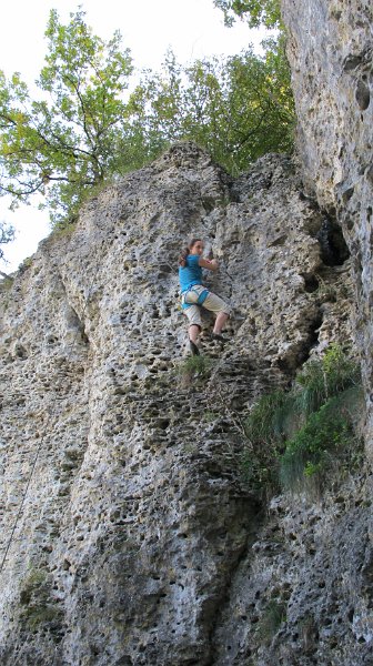 2014-09-28_15-34-07_Falloise.jpg -                                