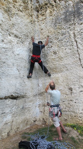 2014-09-28_15-51-24_Falloise.jpg -                                