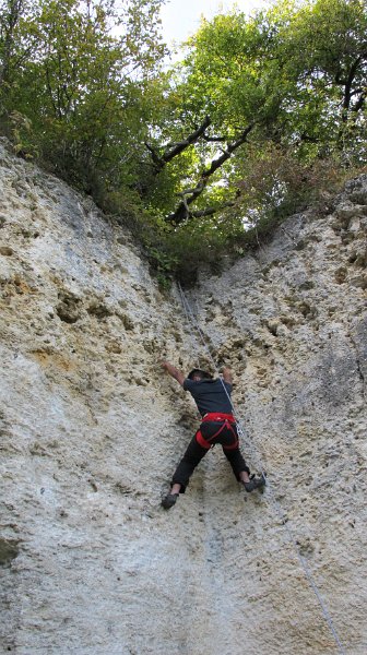 2014-09-28_15-52-40_Falloise.jpg -                                