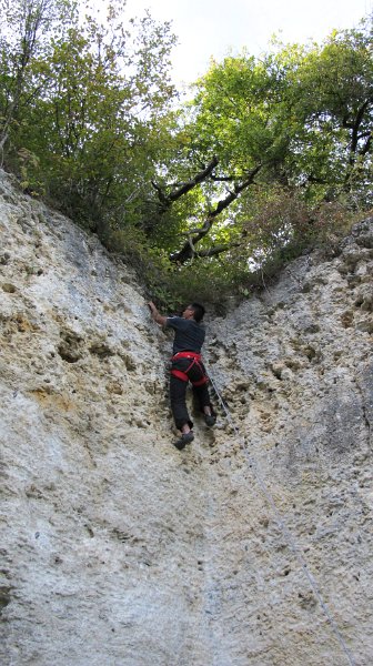 2014-09-28_15-53-16_Falloise.jpg -                                