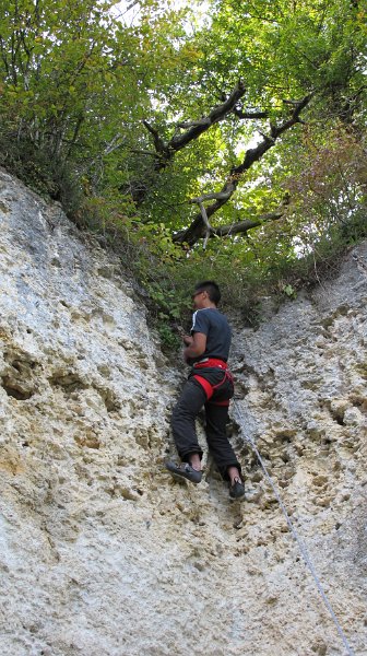 2014-09-28_15-53-31_Falloise.jpg -                                