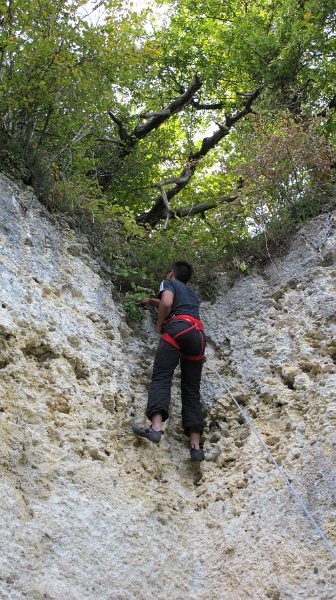 2014-09-28_15-54-48_Falloise.jpg -                                