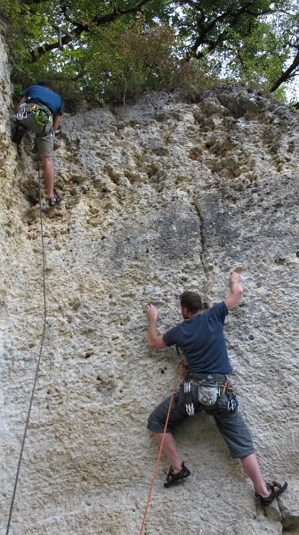 2014-09-28_16-45-52_Falloise.jpg -                                