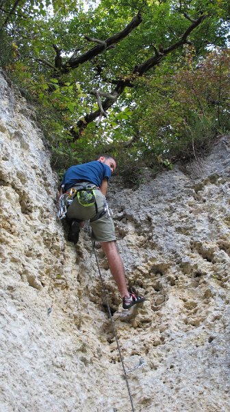 2014-09-28_16-46-13_Falloise.jpg -                                