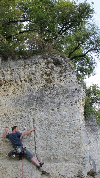 2014-09-28_16-47-33_Falloise.jpg -                                