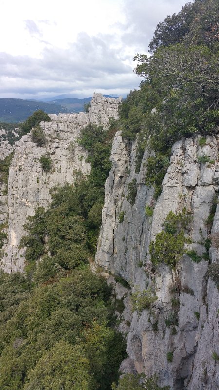 20160423_112628.jpg - 20160423_112628.jpg