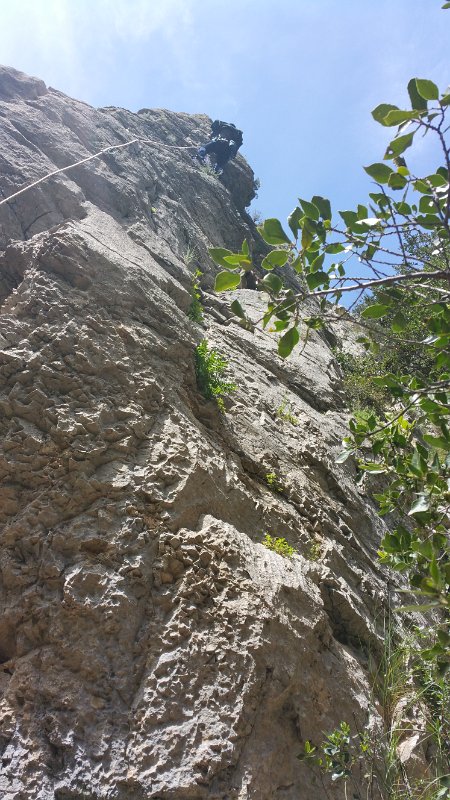 20160423_132706.jpg - 20160423_132706.jpg