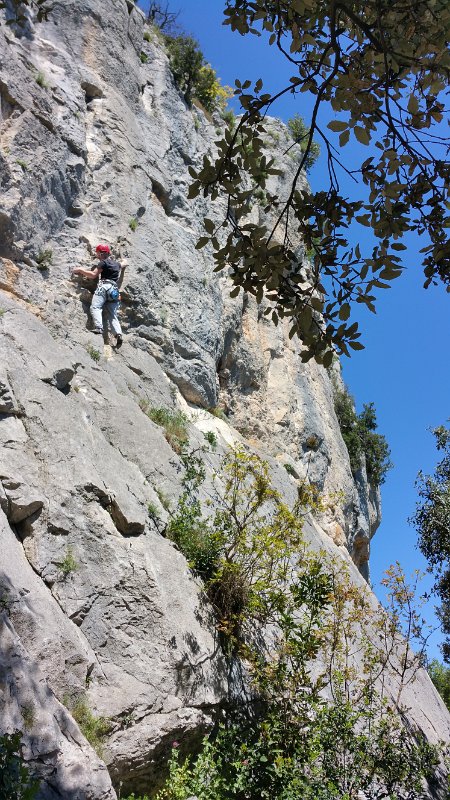 20160425_144028.jpg - 20160425_144028.jpg