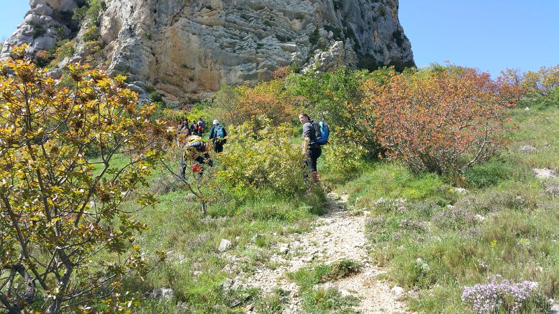 20160427_113955.jpg - 20160427_113955.jpg