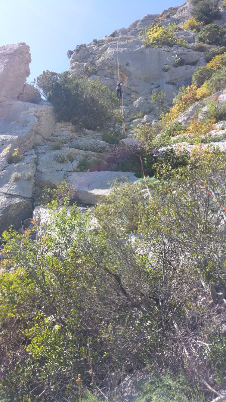 20160427_150921.jpg - 20160427_150921.jpg