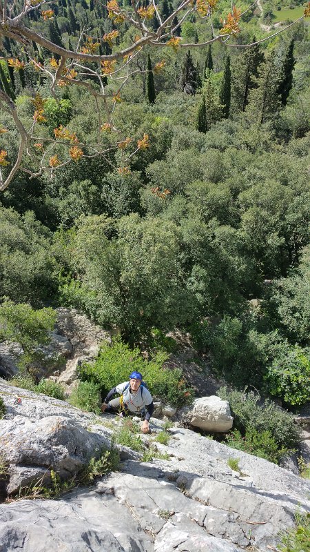 20160428_105258.jpg - 20160428_105258.jpg