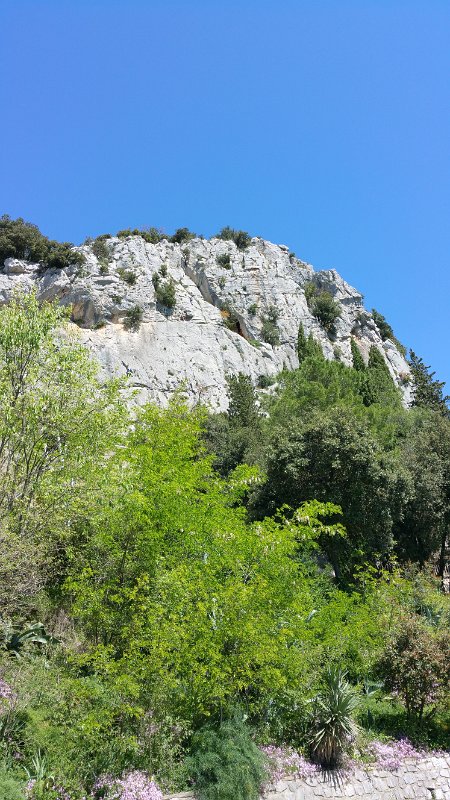 20160428_125135.jpg - 20160428_125135.jpg