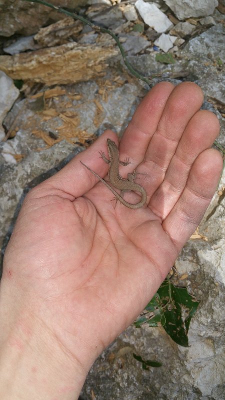 20160429_160345.jpg - 20160429_160345.jpg